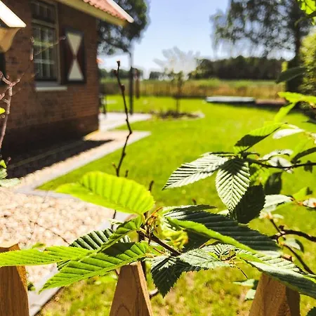 Flierzicht Holiday home *