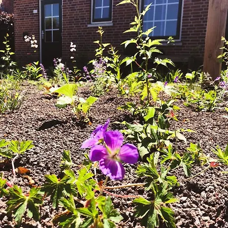 Flierzicht Holiday home Lievelde