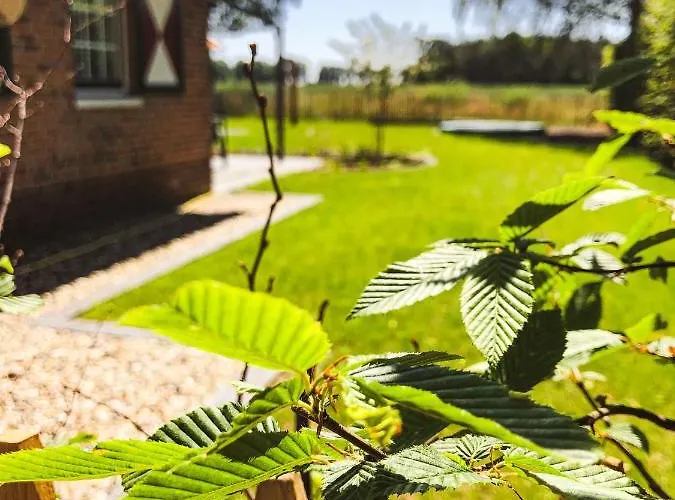 Flierzicht Tatil Evi *