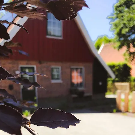 Flierzicht * Lievelde