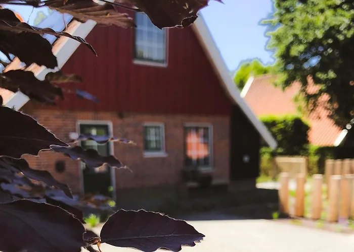 Flierzicht * Lievelde